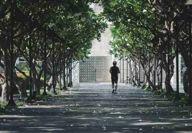 吃瓜51——粉丝经济商业模式独门心法