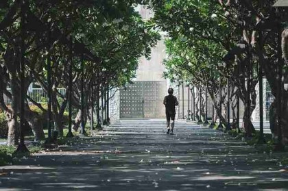 吃瓜51——粉丝经济商业模式独门心法