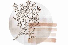 鉴黄师免费观看——观影指南高手心得一文看懂