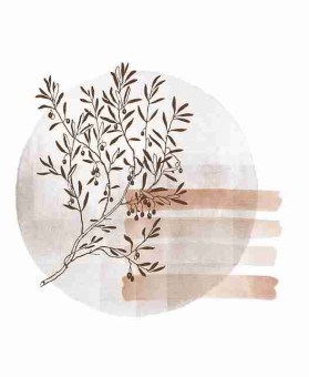 鉴黄师免费观看——观影指南高手心得一文看懂