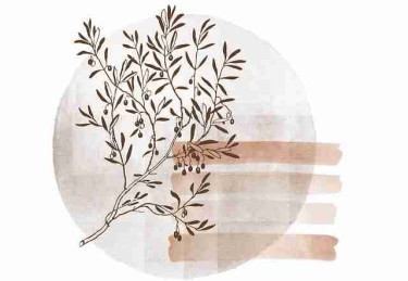 鉴黄师免费观看——观影指南高手心得一文看懂