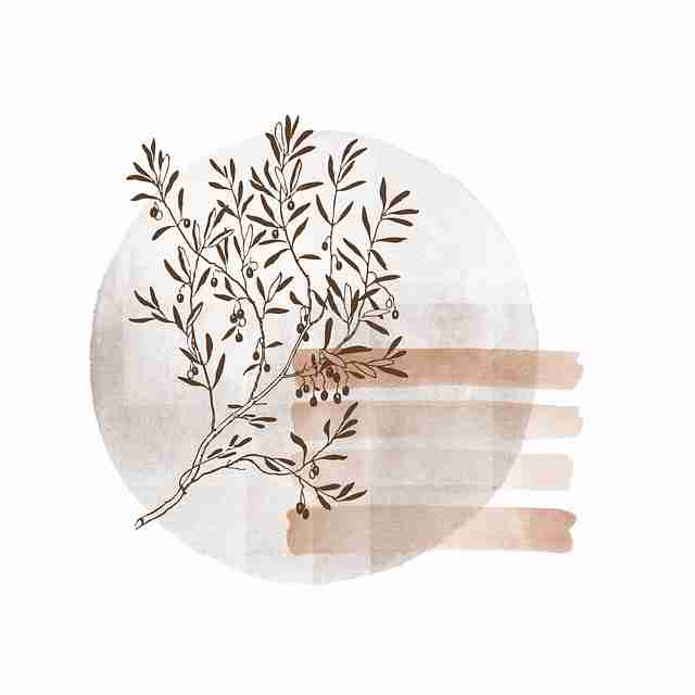 鉴黄师免费观看——观影指南高手心得一文看懂